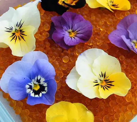 Silica Gel For Drying Flowers