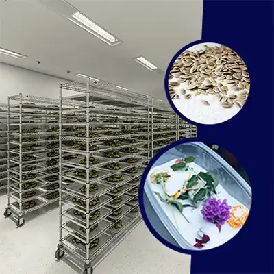 Silica Gel for Drying Seeds and Flowers for silica gel desiccants